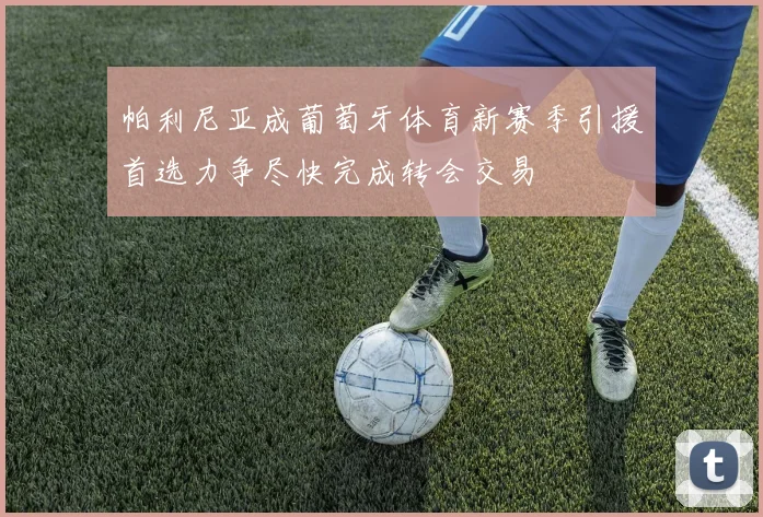 帕利尼亚成葡萄牙体育新赛季引援首选力争尽快完成转会交易
