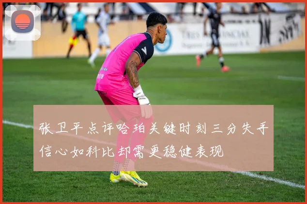 张卫平点评哈珀关键时刻三分失手信心如科比却需更稳健表现