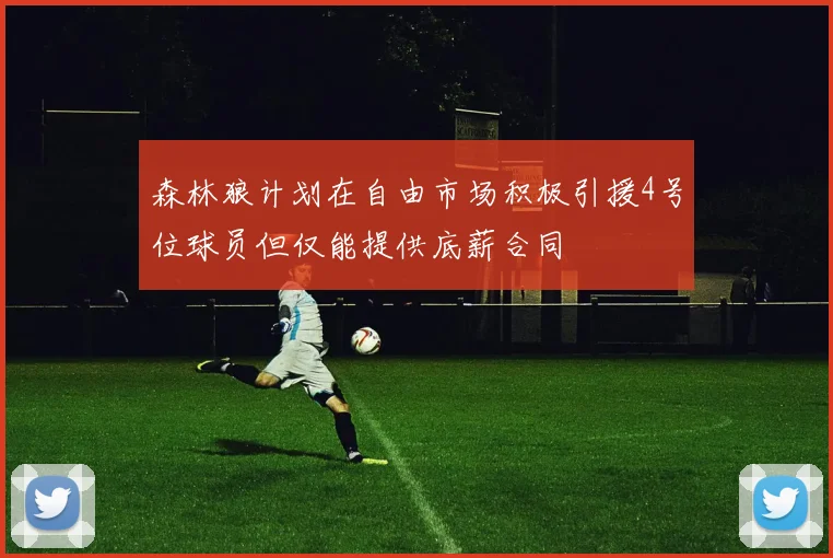 森林狼计划在自由市场积极引援4号位球员但仅能提供底薪合同